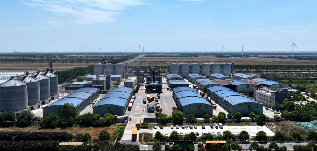 黄海农场：夏粮颗粒归仓  秋超接续发力